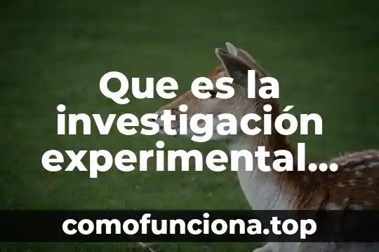 Análisis de datos en una investigación que es 8 Que es la investigación experimental libro