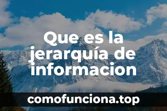Que es la axiologia jerarquia de valores 6 Que es la jerarquía de informacion