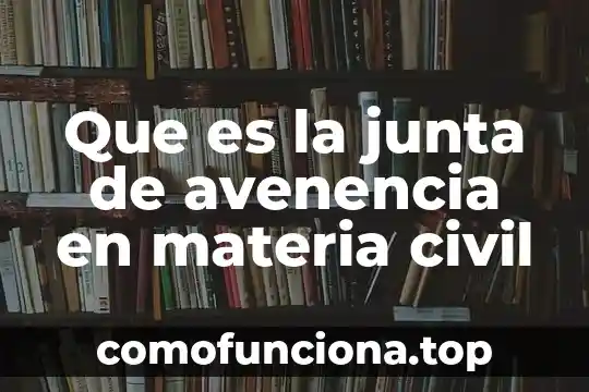 Que es lo fundamnetal en la materia y la conciencia 6 Que es la junta de avenencia en materia civil