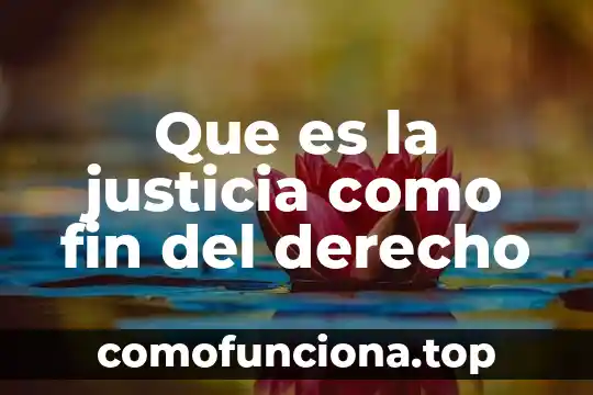 Que es la especulacion normativa en la filosofia del derecho 7 Que es la justicia como fin del derecho