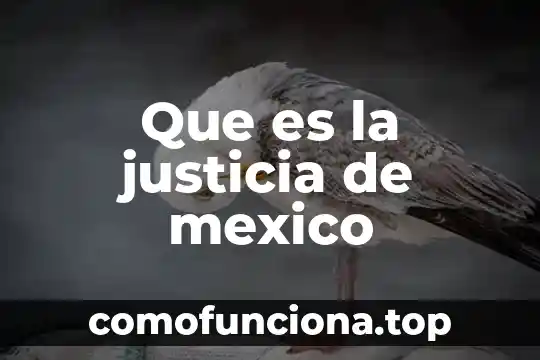Qué es más riguroso certificaciones o iniciativas globales 5 Que es la justicia de mexico