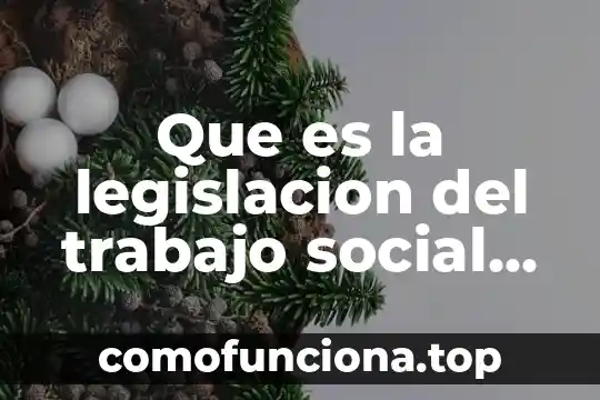 Que es un insecto social 7 Que es la legislacion del trabajo social en mexico resumen