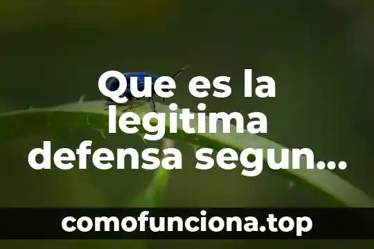 Que es un calendario de trabajo en una tesis 6 Que es la legitima defensa segun el codigo penal