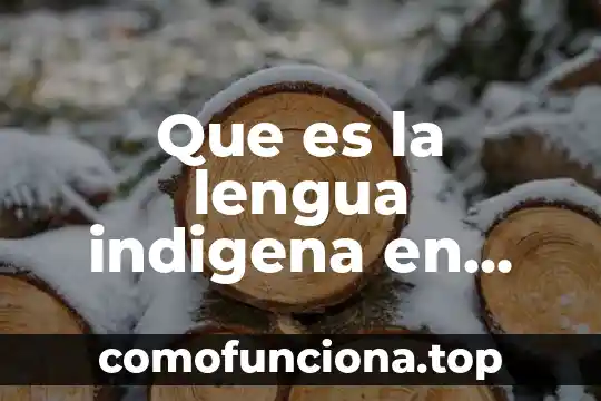 Variaciones de la lengua que es 3 Que es la lengua indigena en mexico