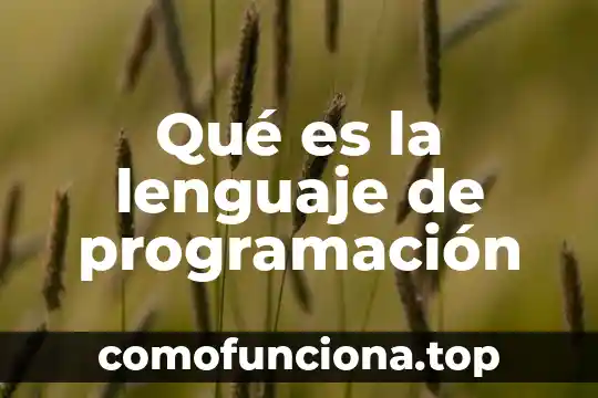 Qué es un número y una p 3 Qué es la lenguaje de programación
