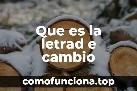 Que es el arte preincaico e inca 3 Que es la letrad e cambio