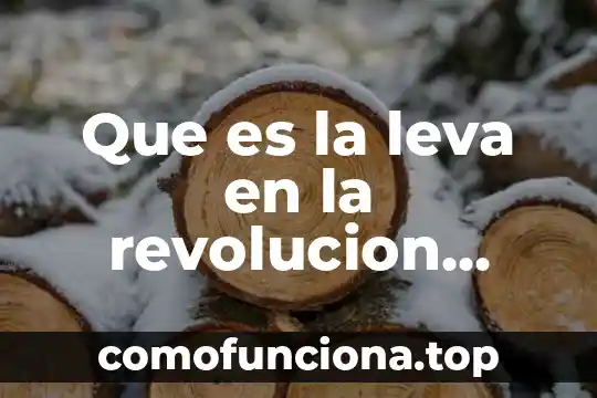 Que es movimiento de revolucion 4 Que es la leva en la revolucion mexicana