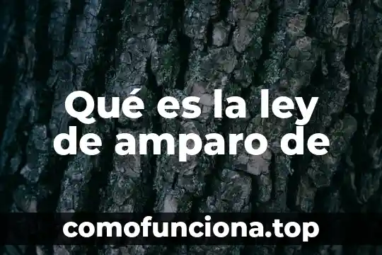 Qué es el tallo de una planta 8 Qué es la ley de amparo de