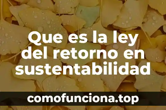 Que es arte y consonante 8 Que es la ley del retorno en sustentabilidad