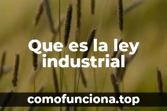 Que es considerado en la ley un domicilio 8 Que es la ley industrial