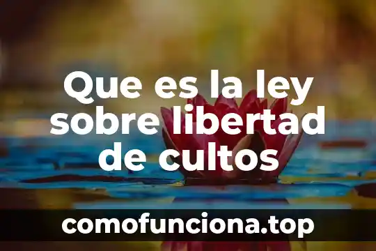 Que es el valor de la libertad en sentido juridico 8 Que es la ley sobre libertad de cultos