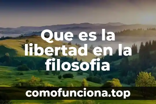 Que es escepticismo segun la filosofia 6 Que es la libertad en la filosofia