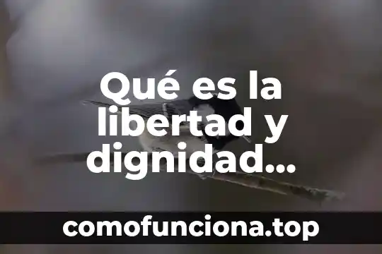 Que es el valor de la libertad en sentido juridico 3 Qué es la libertad y dignidad humana
