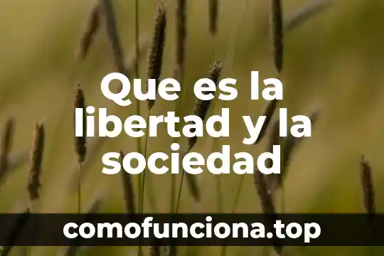 Bienes separados o sociedad que es mejor 3 Que es la libertad y la sociedad