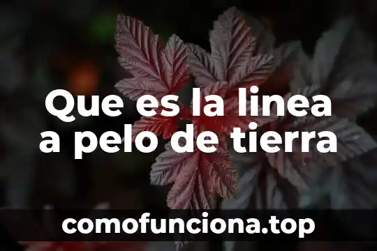 Qué es bandolero significado 5 Que es la linea a pelo de tierra