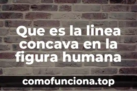 Que es la linea ofensiva en el tocho bandera 6 Que es la linea concava en la figura humana