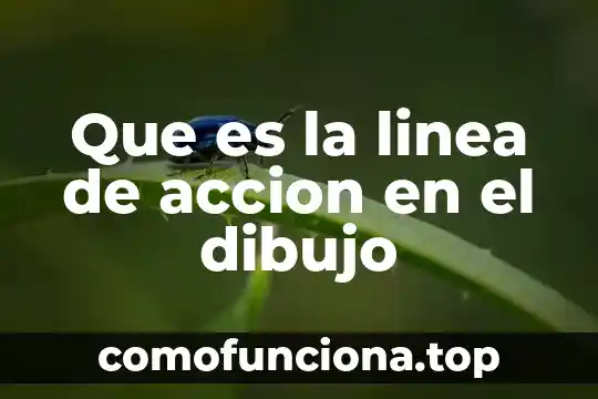 Que es la linea ofensiva en el tocho bandera 4 Que es la linea de accion en el dibujo