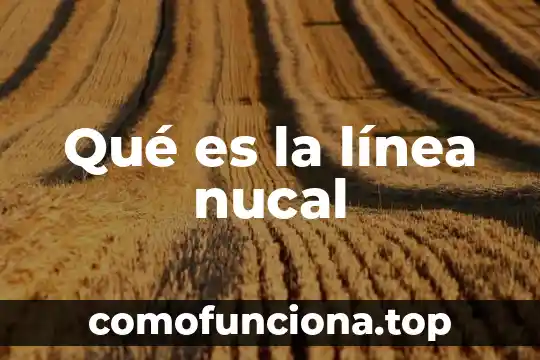 Que es una estrategia y linea de accion 5 Qué es la línea nucal