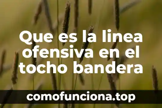 Que es la linea concava en la figura humana 6 Que es la linea ofensiva en el tocho bandera