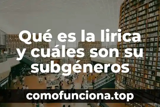 Qué es una expresión algebraica y cuáles son sus elementos 4 Qué es la lirica y cuáles son su subgéneros