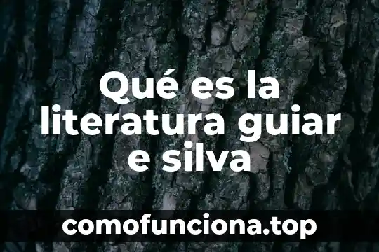 Que es el movimiento de vanguardia en la literatura 6 Qué es la literatura guiar e silva