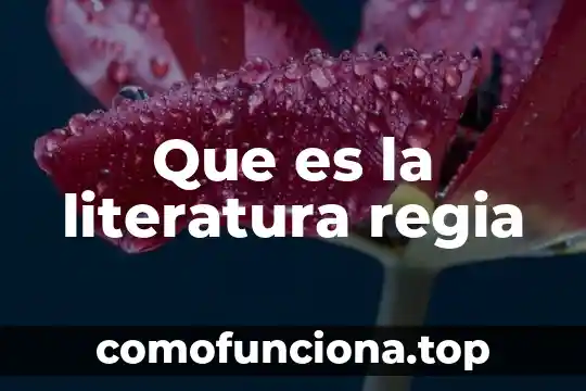 Que es la logica deóntica 8 Que es la literatura regia