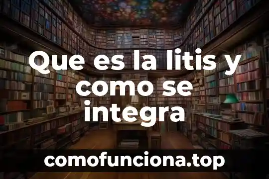Que es educacion integra 6 Que es la litis y como se integra