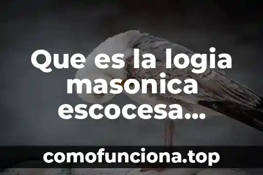 Instituciones de gobierno que es parte del legado virreinal 4 Que es la logia masonica escocesa formas de gobierno