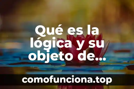 Que es un objeto color 5 Qué es la lógica y su objeto de estudio