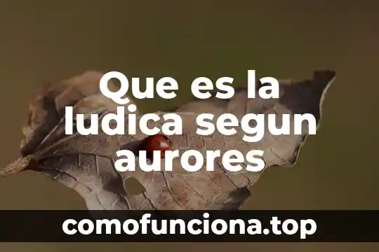 Que es la escritura segun cecilia fierro 6 Que es la ludica segun aurores