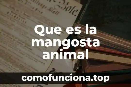 Qué es wasp en animal 5 Que es la mangosta animal