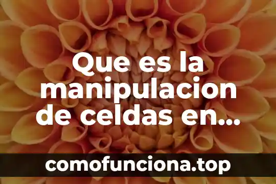 Investigar que es la manipulación genética y el medio ambiente 7 Que es la manipulacion de celdas en excel