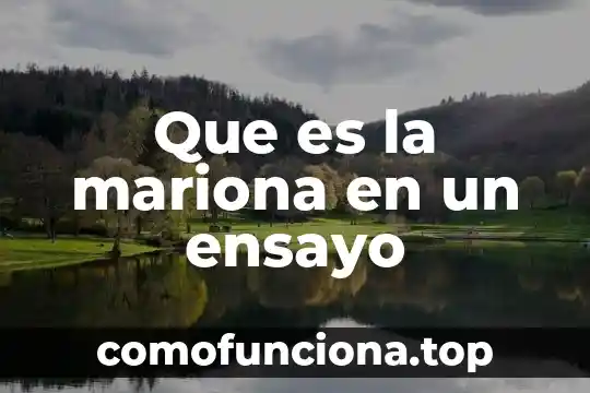 Que es el simbolo de la bandera de mexico 7 Que es la mariona en un ensayo