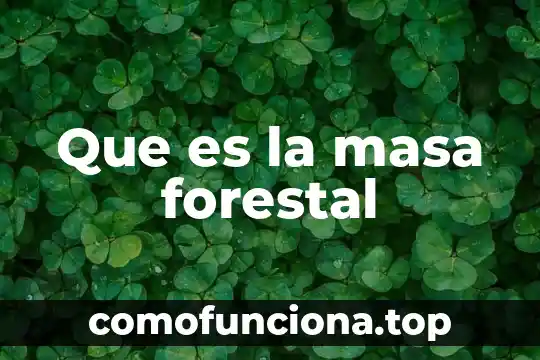 Qué es masa y materia experimentos para enseñar 6 Que es la masa forestal