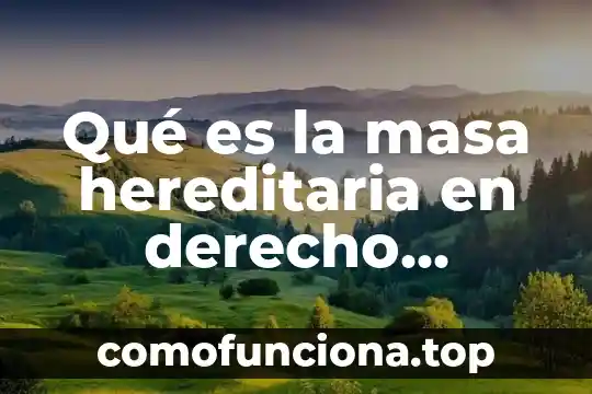 Que es aluvion en materia civil 8 Qué es la masa hereditaria en derecho procesal civil México