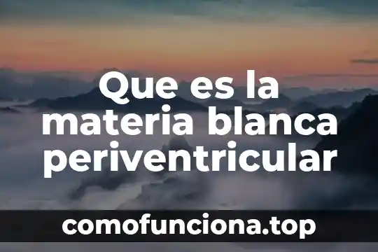 Que es la determinacion en materia fiscal 3 Que es la materia blanca periventricular