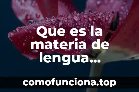 Que es el arte real academia española 7 Que es la materia de lengua española