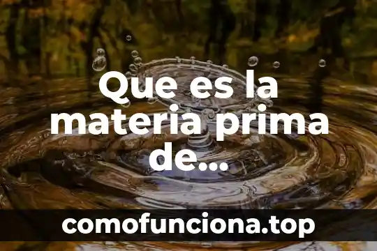 Qué es materia prima definición 3 Que es la materia prima de termofraguantes