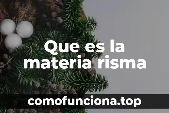 Que es la determinacion en materia fiscal 6 Que es la materia risma