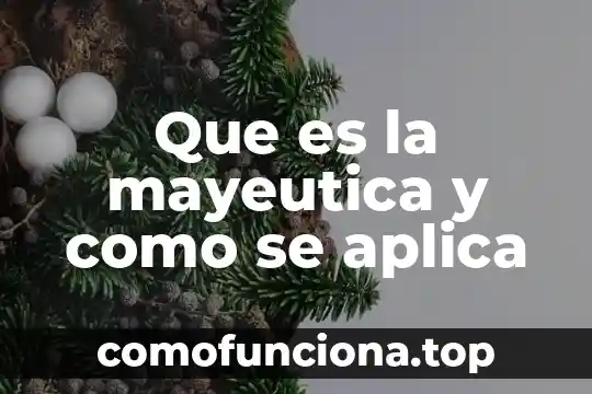 Que es un cuestionariodonde se aplica y ventajs 3 Que es la mayeutica y como se aplica