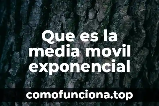 Qué es el exponencial de un número 3 Que es la media movil exponencial