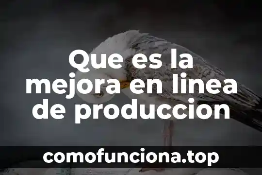 Que es la ubicacion de una planta de produccion 7 Que es la mejora en linea de produccion
