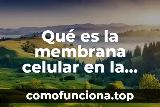 Qué es una célula UNAM 5 Qué es la membrana celular en la célula procariota
