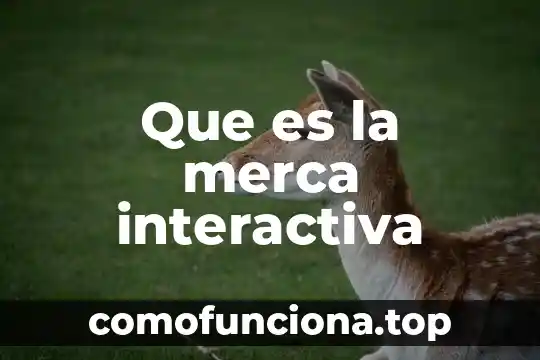Que es el pago de salud interactiva telmex 3 Que es la merca interactiva