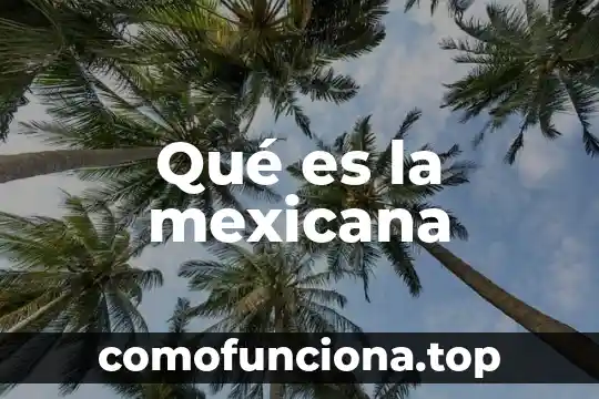 Que es la bandera mexicana 3 Qué es la mexicana