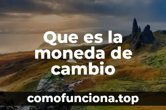 Que es moneda puente economia 6 Que es la moneda de cambio