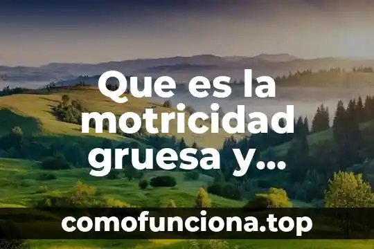Qué es motricidad fina en educación física 6 Que es la motricidad gruesa y ejemplos