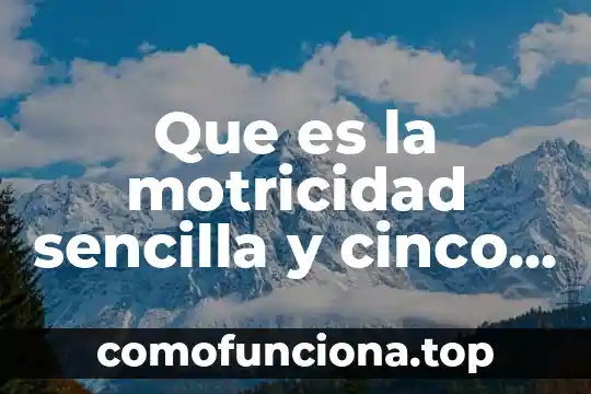 Qué es motricidad fina en educación física 8 Que es la motricidad sencilla y cinco ejemplos