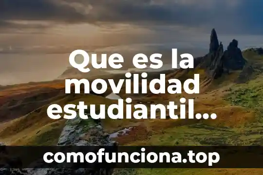 Qué es el escudo nacional de Colombia 7 Que es la movilidad estudiantil nacional