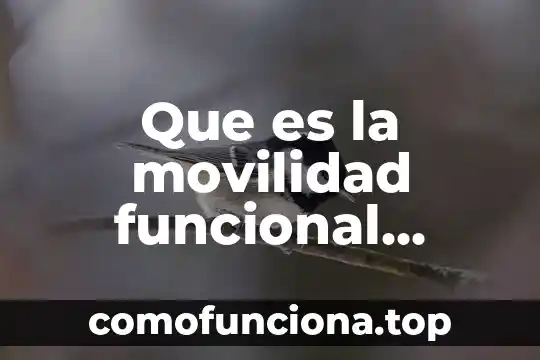 Que es una sintesis de valor funcional arquitectura 4 Que es la movilidad funcional fisioterapia